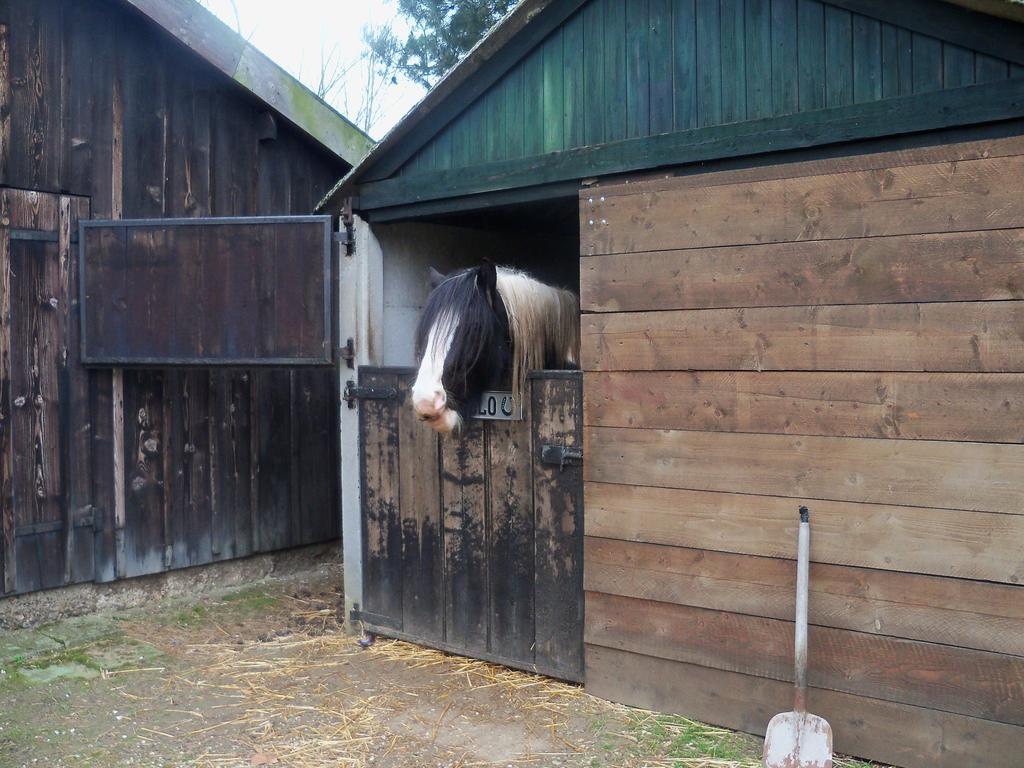 Hoeve Heidonk Horn Экстерьер фото