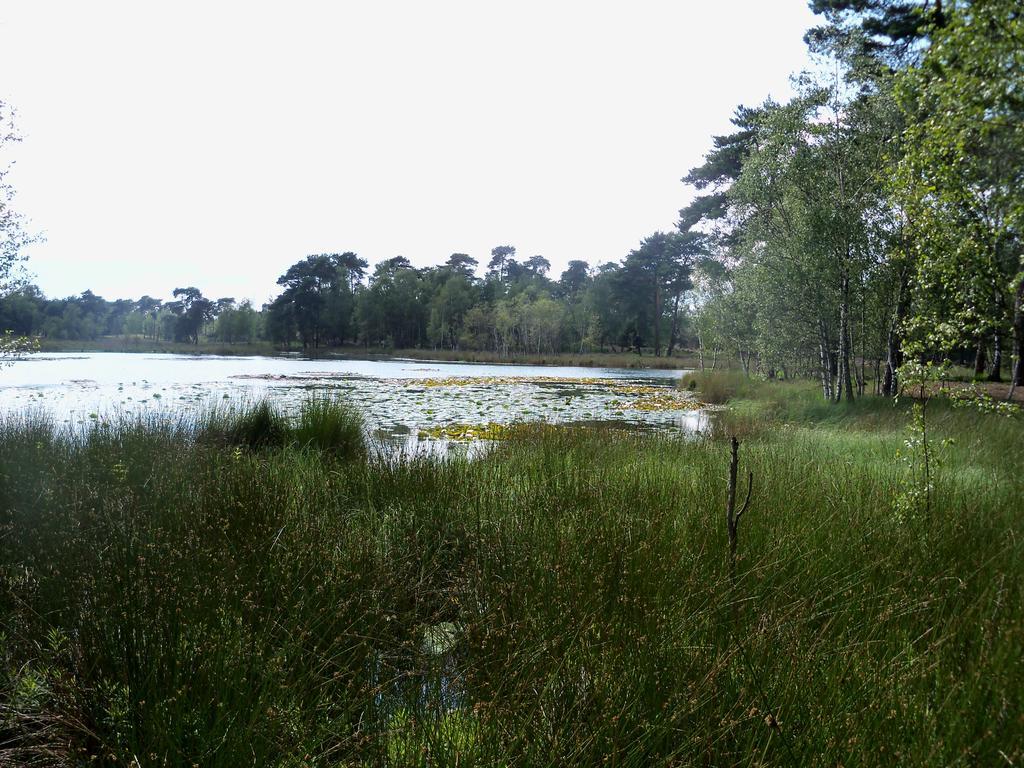 Hoeve Heidonk Horn Экстерьер фото